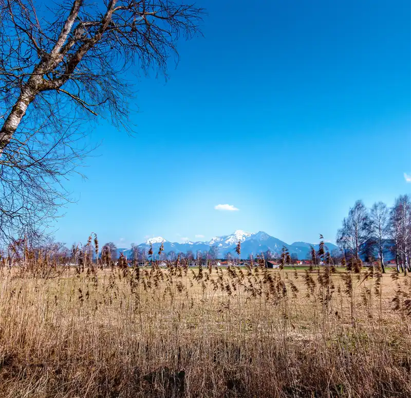 am Chiemsee mit Blick auf die Alpen