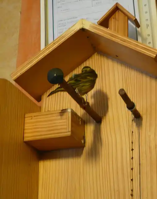 Vogel im Cafè