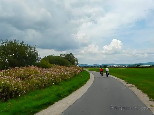 Radweg im Regental