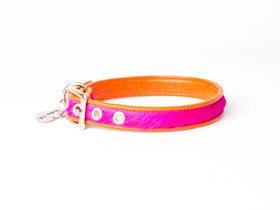 Hundehalsband von Holly&Lil